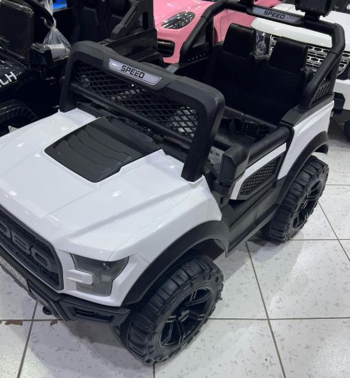 صورة جيب مميز